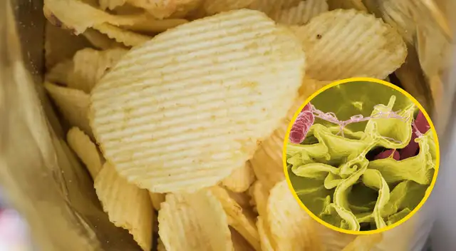 URGENTE | Bacteria mortal afecta a dos marcas conocidas de papas fritas: ¿de cúales se tratan?