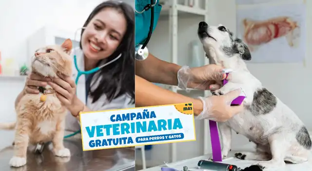Campaña veterinaria gratuita para este 16 de mayo: ¿Dónde y cuáles son los servicios disponibles?