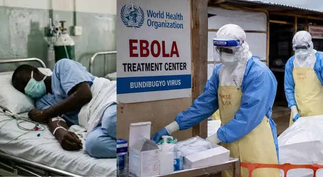 La OMS alerta del nuevo brote de ébola en Europa: qué sintomas tiene y por qué preocupa la nueva cepa.