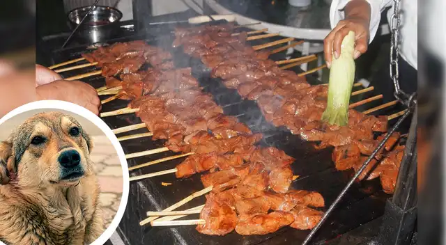 Menor come anticuchos en la calle y encuentra un chip de PERROS: "Por favor cuiden a sus mascotas"
