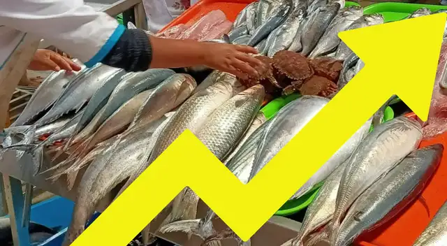 ¡SUBIÓ EL PESCADO! Oleajes anómalos elevan los precios en los mercados de Lima: Conoce los nuevos costos.