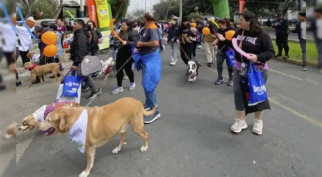 La actividad se llevará a cabo el domingo 12 de julio en Santiago de Surco. La actividad se llevará a cabo el domingo 12 de julio en Santiago de Surco.