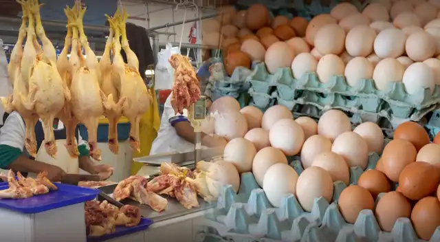 Gripe aviar en Perú: ¿Es seguro comer pollo y huevos tras alerta sanitaria de Senasa? Minsa responde. Gripe aviar en Perú: ¿Es seguro comer pollo y huevos tras alerta sanitaria de Senasa? Minsa responde.
