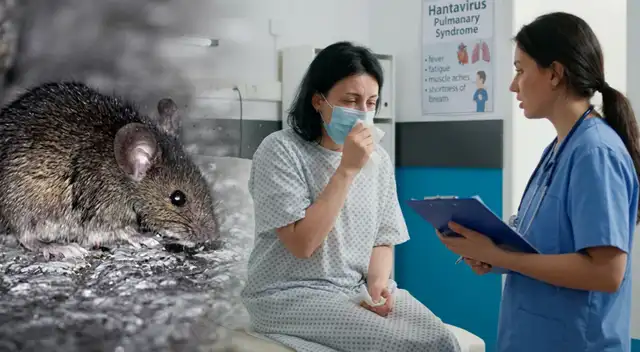 ALERTA SANITARIA | Chile activa protocolos de bioseguridad tras 18 fallecidos por hantavirus.