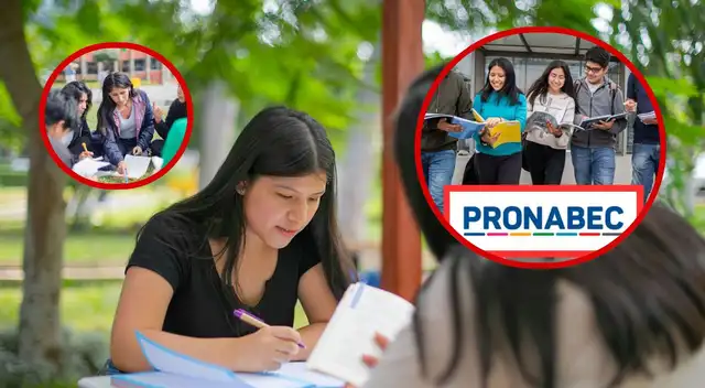 Las postulaciones iniciaron el viernes 31 de julio y estarán abiertas hasta las 11.59 p. m. del domingo 9 de agosto.