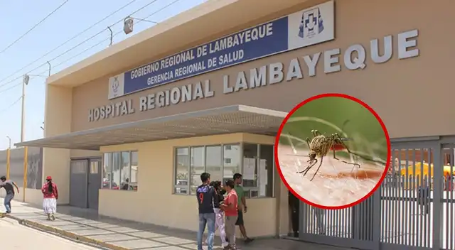 Paciente con malaria permanece internado tras viajar a Camerún.
