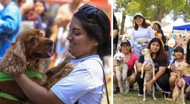 Adopción de perros y gatos en Lima: conoce los requisitos para adoptar una mascota rescatada por la MML