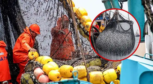 Produce establece reglas especiales para aprovechar especies que aparezcan en el mar durante El Niño Costero. Produce establece reglas especiales para aprovechar especies que aparezcan en el mar durante El Niño Costero.