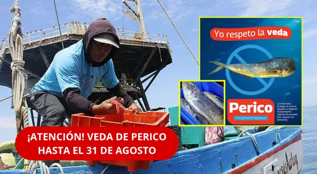 El recurso hidrobiológico se comercializa pese a que su extracción está prohibida hasta el 31 de agosto.
