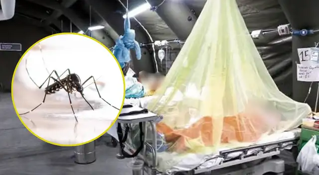 Minsa reporta más de 3.000 contagiados de dengue en Lima: conoce los distritos en mayor riesgo de la capital.