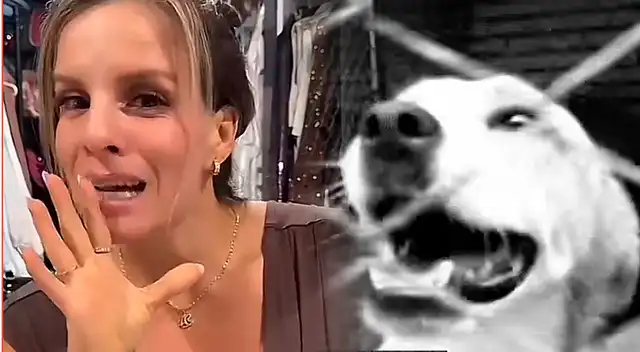 ¡NO SE QUEDA CALLADA! Alejandra Baigorria SE PRONUNCIA tras denuncia por ABANDONO de MASCOTAS en albergue: “Yo no tengo...” ¡NO SE QUEDA CALLADA! Alejandra Baigorria SE PRONUNCIA tras denuncia por ABANDONO de MASCOTAS en albergue: “Yo no tengo...”