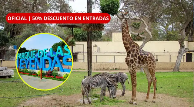 Los visitantes pueden revisar la información actualizada y acceder a la compra de entradas a través de los canales oficiales del Parque de las Leyendas.