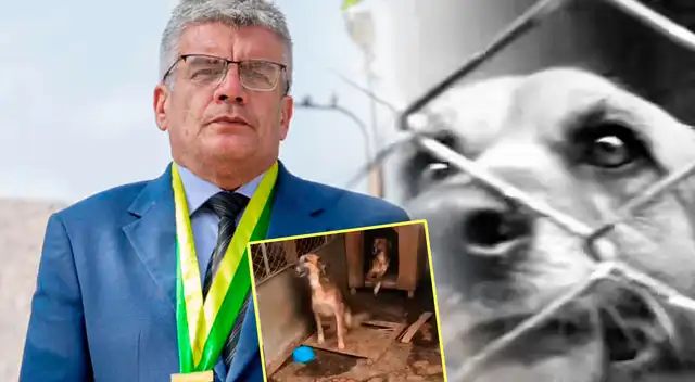 ¡SE DEFIENDE CON TODO! Padre de Alejandra Baigorria ROMPE SU SILENCIO tras ser ACUSADO de abandonar a mascotas: “Basta...”