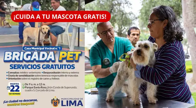 Campaña veterinaria gratuita en Lima: consultas y desparasitación para perros y gatos este 22 de setiembre.