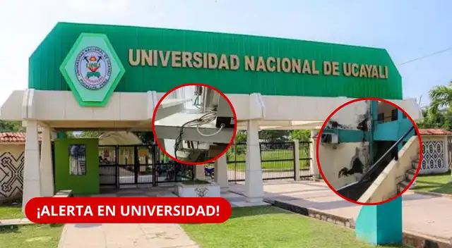 Universidad Nacional de Ucayali: Sunedu detecta graves deficiencias y advierte posible cancelación del licenciamiento.