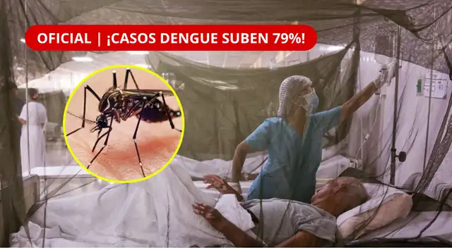 Dengue en Perú 2026: casos aumentan 79 % y se registran 55.943 contagios y 67 fallecidos