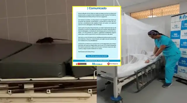 Rata pasea entre CAMILLAS y JARRAS DE AGUA usadas por pacientes con dengue en hospital de EsSalud. Rata pasea entre CAMILLAS y JARRAS DE AGUA usadas por pacientes con dengue en hospital de EsSalud.