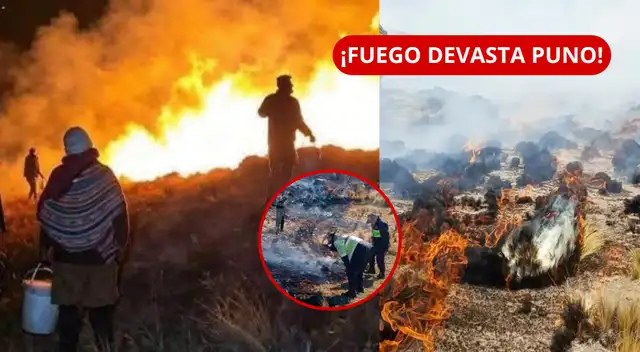 Incendios dejan 2 fallecidos y destruyen casi 30 MIL hectáreas de pastizales.