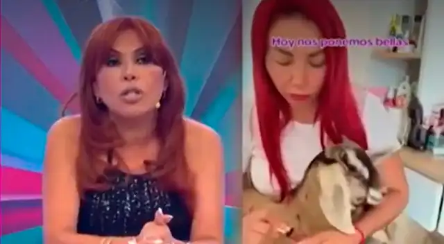 Magaly Medina acusa a Deysi Araujo de maltrato animal a cabrita que adoptó y expone INDIGNANTES tratos: "Le amarra las..." Magaly Medina acusa a Deysi Araujo de maltrato animal a cabrita que adoptó y expone INDIGNANTES tratos: "Le amarra las..."