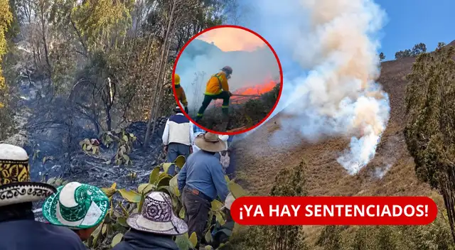 Incendios devastaron más de 23 hectáreas en Cusco.