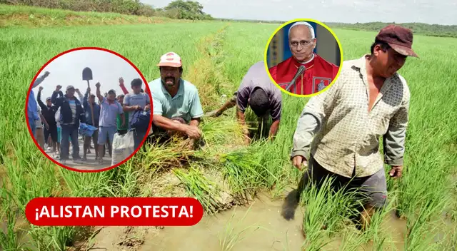 Arroceros de Ucayali preparan protesta durante visita del papa León XIV y productores de Piura evalúan paro.