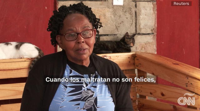  Jane Kabue es importante que los animales reciben un  fraternal trato de sus dueños. Crédito: CNN 