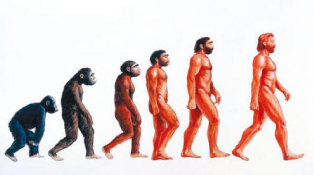 El proceso de hominización del hombre comenzó en áfrica.