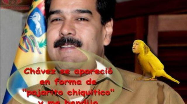 Circulan memes burlándose del comentario de Nicolás Maduro sobre la aparición de hugo Chávez en forma de pajarito.