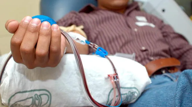 Donar sangre no produce anemia ni subida de peso.
