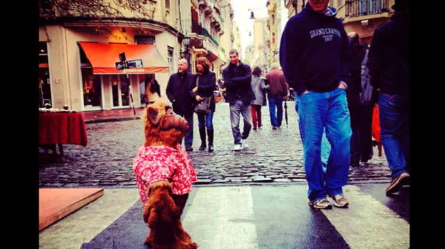 Alf se pasea por las calles de Buenos Aires.