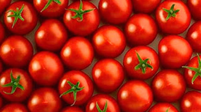 La importancia del consumo del tomate en la dieta diaria. 