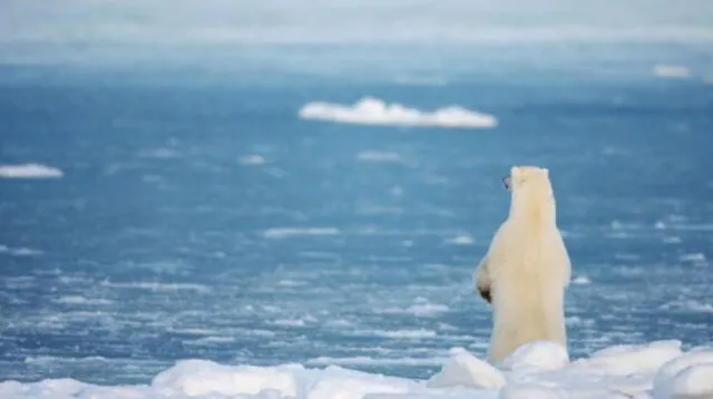 YouTube: Video muestra alarmante deshielo del Polo Norte.