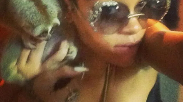 Rihanna se tomó foto con animal prohibido en Tailandia