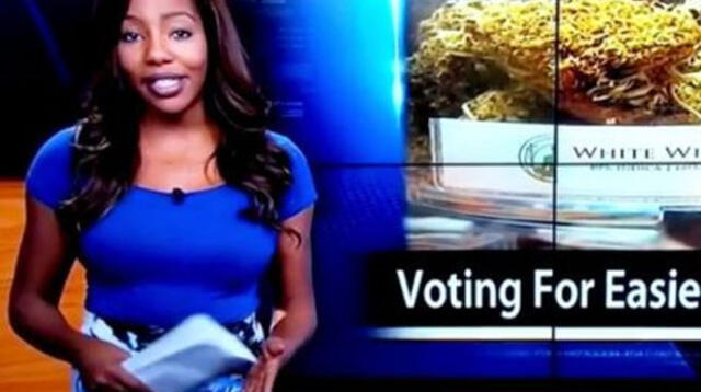 Esta reportera sorprendió al renunciar en vivo y anunciar que luchará por la legalización de la marihuana