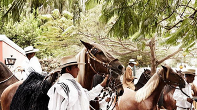 Chalanes y caballos de Paso peruano engalanan las páginas de Vogue