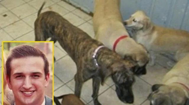 Hijo de un senador de EEUU fue acusado en muerte de 21 perros.