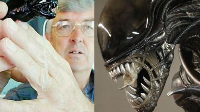 Capturan ejemplar de Pez Alien, el terror de las profundidades marinas