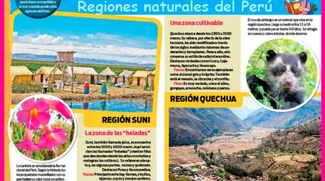 Regiones naturales del Perú.