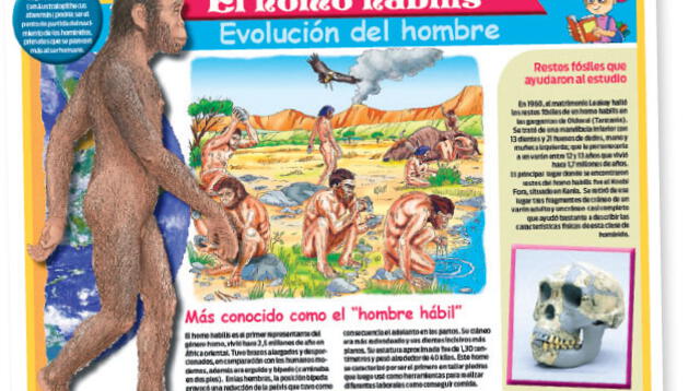 Todo lo que necesitas saber sobre la evolución del hombre.