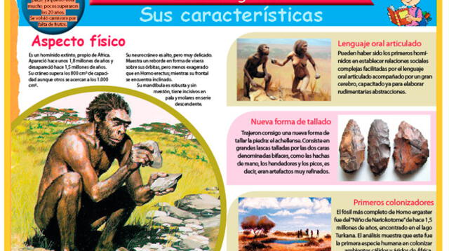 Homo ergaster: sus caraterísticas.