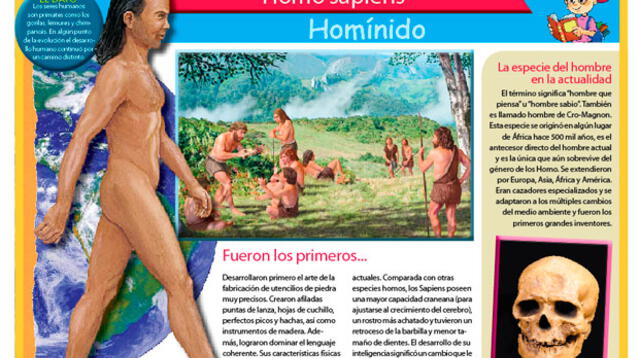 Homo sapiens: homínido.