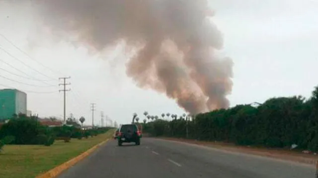 Fuerte incendio en Pantanos de Villa pone en peligro la vida silvestre del área.