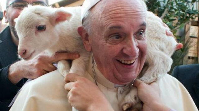 El Papa Francisco confirma que las mascotas también pueden ir al cielo.