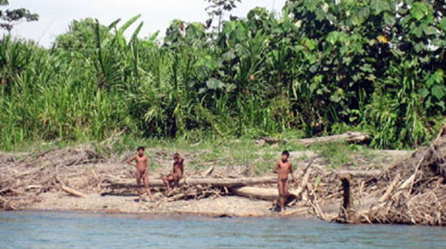 Los indígenas, velan por la preservación y el tráfico de tierras.