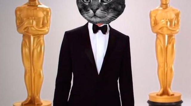 Memes del Oscar 2015