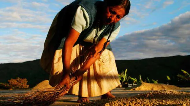 Cada 24 de junio se celebra el Día del Campesino en Perú. Conoce aquí de qué se trata esta emblemática fecha, que data de la época incaica.