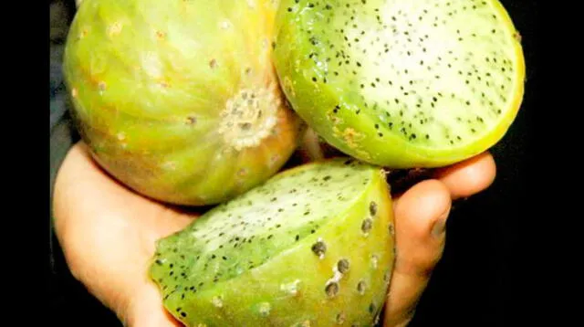 'El consumo de esta fruta exótica debe ser controlado',  indicó el experto