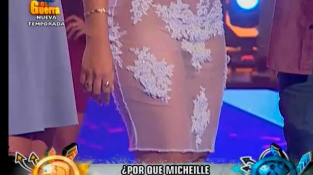 Michi con vestido. 