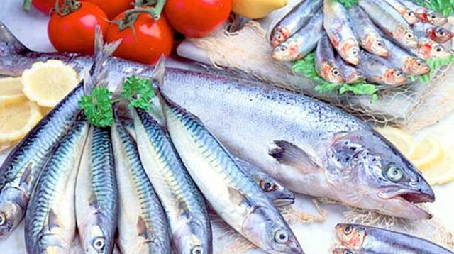 La anchoveta es la que tiene mayor concentración de omega 3.