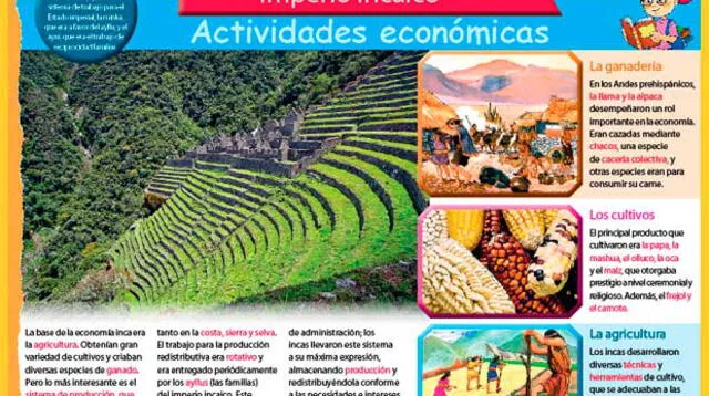 El imperio incaico: las actividades económicas